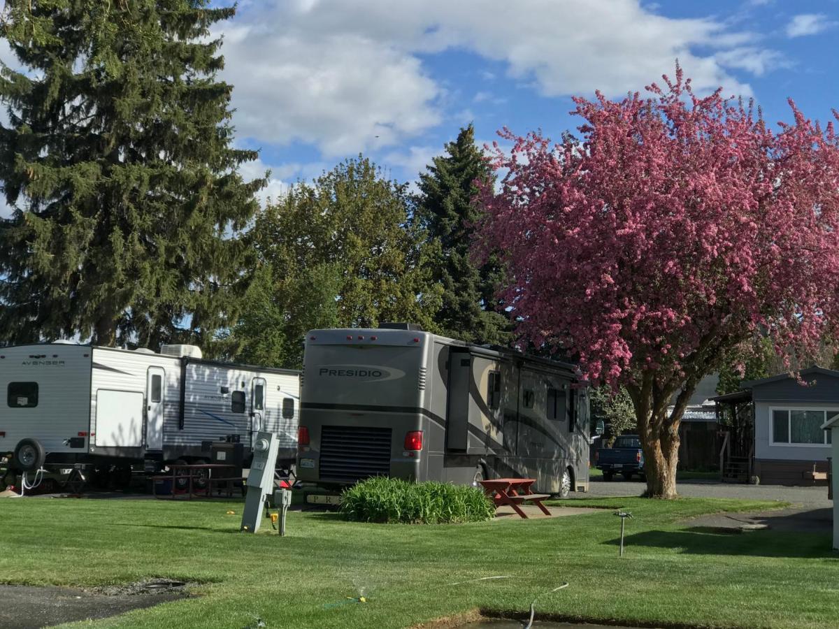 Goose Creek Rv Park & Campground Wilbur Exteriör bild